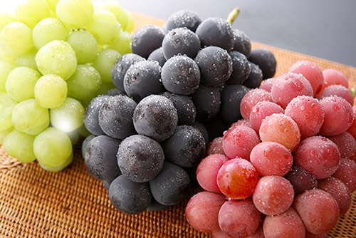 Grape Picking Image 3